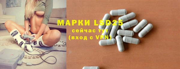 шишки Баксан