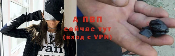 шишки Баксан