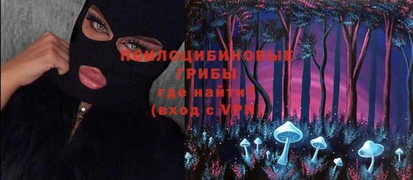 шишки Баксан