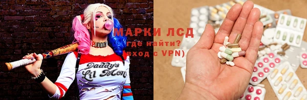 шишки Баксан
