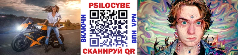 omg как войти  сайты даркнета как зайти  Геленджик  Псилоцибиновые грибы Psilocybe  где можно купить  